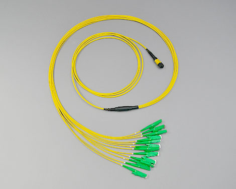 Fanout, MTP®/MPO APC male-12xE2000APC, 9/125µm, 3.0m